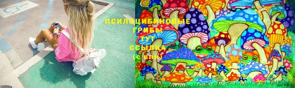 МДПВ Горняк