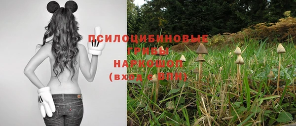 мдпв Горно-Алтайск