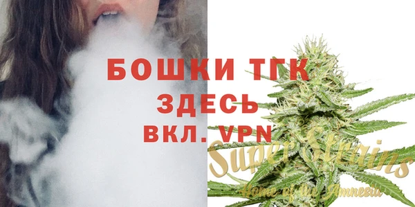 мдпв Горно-Алтайск