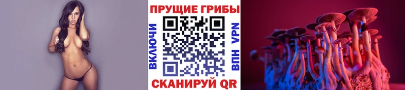 Галлюциногенные грибы GOLDEN TEACHER  Купить где  Болотное 
